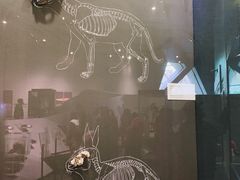 -北京周口店北京人遗址博物馆