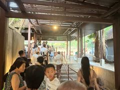 -清迈夜间动物园