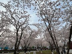 -龙美术馆(西岸馆)