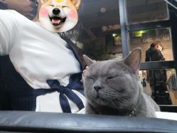 -青木造型HAIR·あおき髪を刈る潮人店