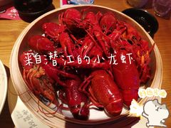 -靓靓蒸虾·头牌蒸虾(雪松路总店)