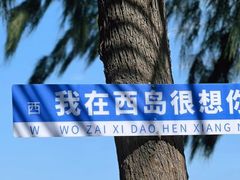 -三亚西岛海洋文化旅游区