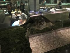 -海鼎荟海鲜姿造(晋江宝龙店)