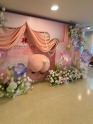 -北京新世纪妇幼医院·产检·分娩·计生(望京院区)