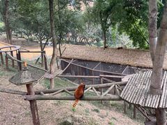 -乐和乐都主题乐园