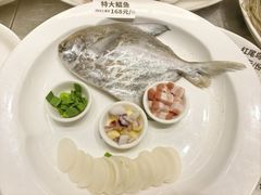 -阿毛饭店首店·宁波老字号(文化广场店)