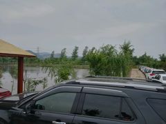 -同銮特种养殖场·龙虾垂钓