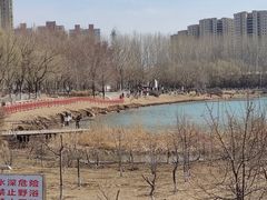 -丁香湖公园