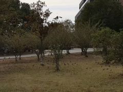 -南京工程学院(江宁校区)