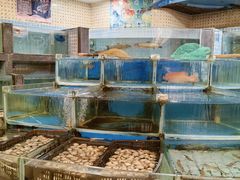 -百乐门喜宴(海珠广场华厦店)