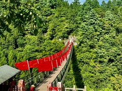 -娄山关景区