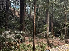 -浙江自然博物院(杭州馆)