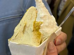 -野人先生现做冰淇淋(西安赛格店)