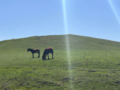 -新疆那拉提国家旅游度假区