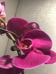 -嫒多泉产后健康管理中心(沙坪坝三峡广场店)