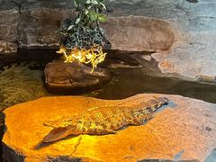 -泉城欧乐堡海洋极地世界