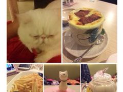 iphone_upload_pic-萌喵宠狗爱心宠咖