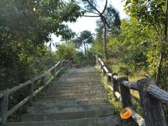 -大伊山景区