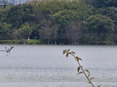 -海珠湖公园