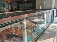-Madeleine玛德琳(永平里店)