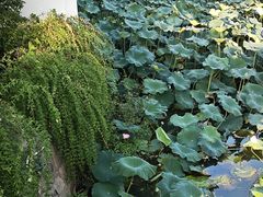 -南通濠河风景名胜区