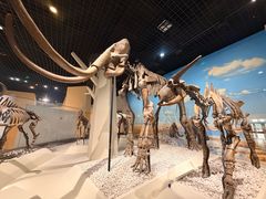 -国家自然博物馆