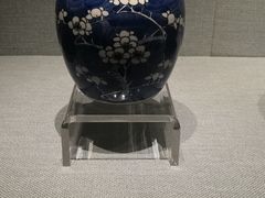 -柳州博物馆