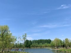 -东郊湿地公园