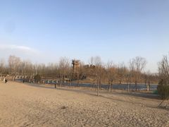 -东郊湿地公园