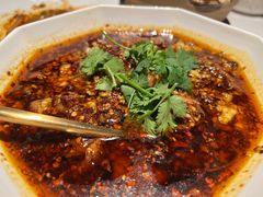 -许家菜(DT51店)