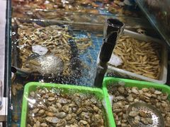 -和源祥·日照菜扛把子(万平口一店)