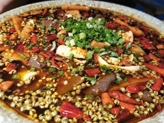 -青城甲(青城山店)