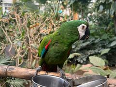 -南宫五洲植物乐园