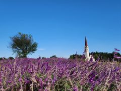 -云漫湖生态度假公园