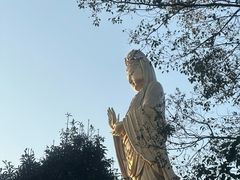 -普陀山慧济禅寺