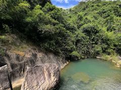 -广州白江湖森林公园