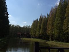 -黄海国家森林公园