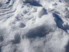 -蓟县盘山滑雪场