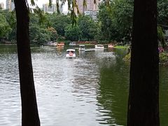 -晓港公园