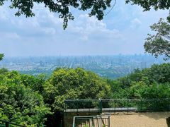 -大蜀山国家森林公园