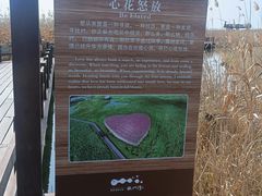 -宁波杭州湾国家湿地公园