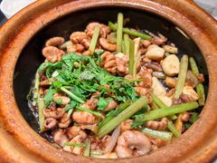 -煲煲好(朝阳门店)