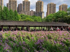 -龙头寺公园