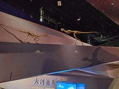 -武汉园博园(武汉自然博物馆)