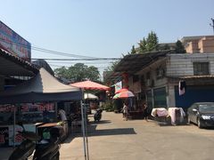 -桂林市花鸟市场