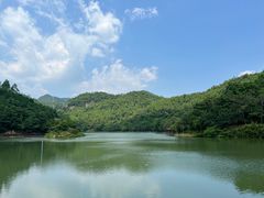 -广州白江湖森林公园