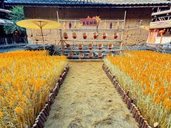 -初溪土楼群