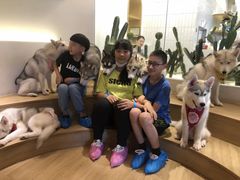 -Husky Go! 哈士奇体验馆·宠物咖啡厅狗咖
