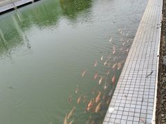 -千龙湖生态旅游度假区