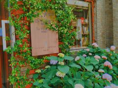 -边渡咖啡烘焙店(昙华林店)